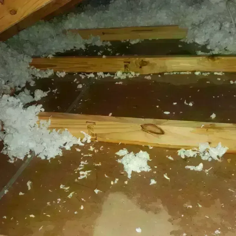 Attic Water Damage in Marshall, MN